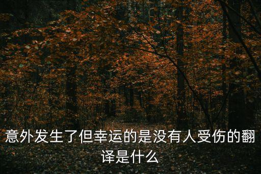 意外發(fā)生了但幸運的是沒有人受傷的翻譯是什么