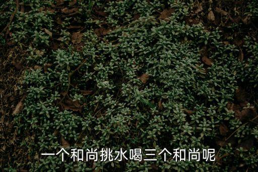 一個和尚挑水喝三個和尚呢