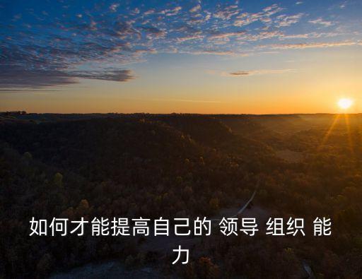 如何才能提高自己的 領導 組織 能力