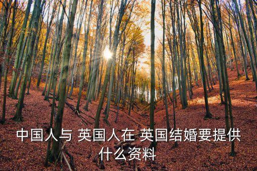 英國婚禮,英國威廉王子和米德爾頓明年4月29日登記結(jié)婚