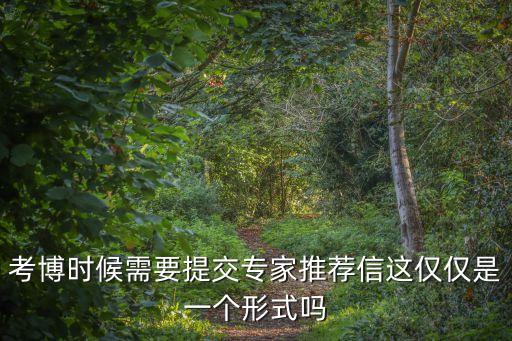 博士專家推薦信，考博時候需要提交專家推薦信這僅僅是一個形式嗎