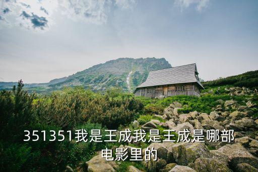 351351我是王成我是王成是哪部電影里的
