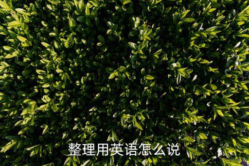 整理用英語怎么說