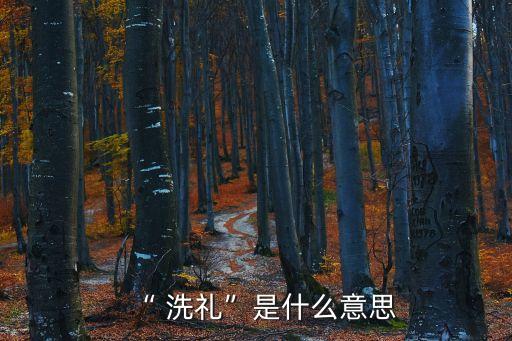 洗禮的意思,馬德在《要理問答》給了我們最好的定義