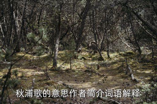 秋浦歌，秋浦歌的意思作者簡介詞語解釋