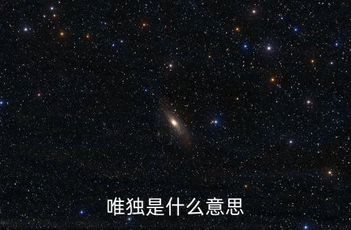 惟獨，唯獨的意思