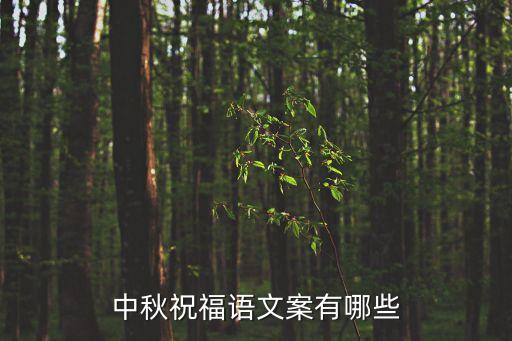 中秋祝福語文案有哪些