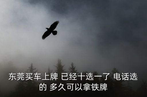 東莞汽車鐵牌要多久，東莞買車上牌 已經(jīng)十選一了 電話選的 多久可以拿鐵牌
