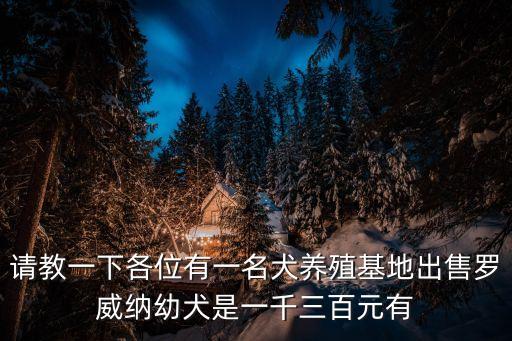 羅威納出售，福州那有買羅威納犬價格多少有什么好的介紹