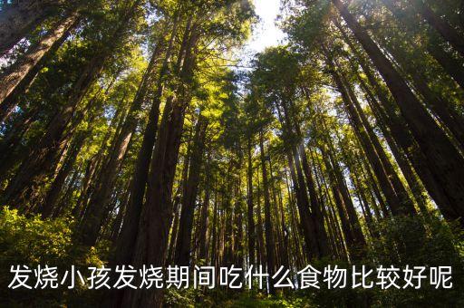 孩子發燒吃什么，發燒小孩發燒期間吃什么食物比較好呢