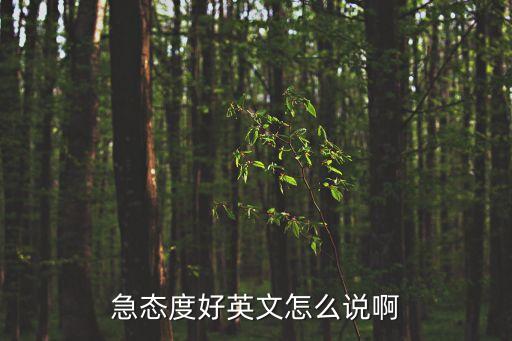 急態(tài)度好英文怎么說啊
