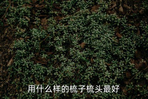 什么梳子梳頭最好，用什么樣的梳子梳頭最好