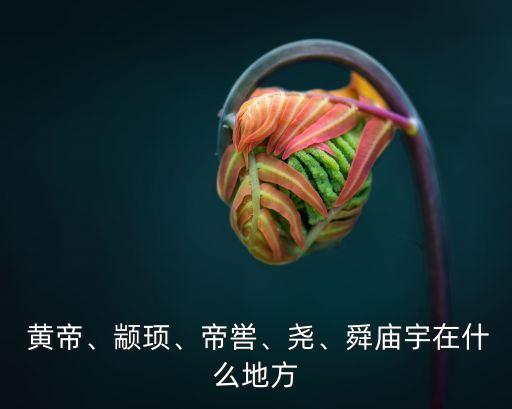 黃帝廟,黃帝顓頊墓旁有廟宇供奉聊古廟