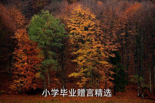 小學畢業贈言，小學畢業贈言精選