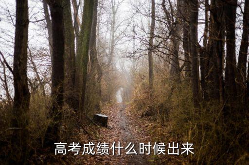 高考成績什么時候出來