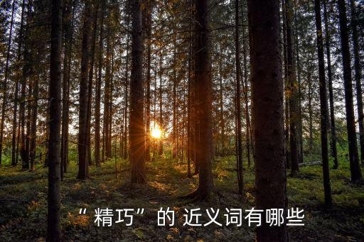 “ 精巧”的 近義詞有哪些