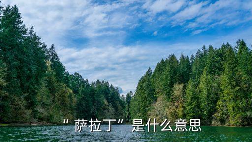 薩拉丁,文明征服薩拉丁實力分析