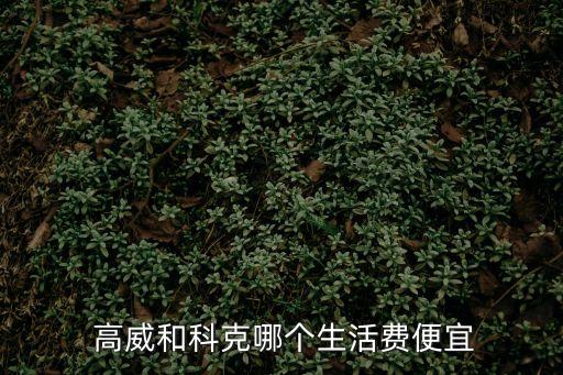  高威和科克哪個生活費便宜