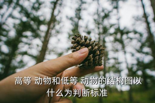  高等 動物和低等 動物的結(jié)構(gòu)圖以什么為判斷標準