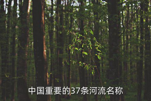 中國重要的37條河流名稱