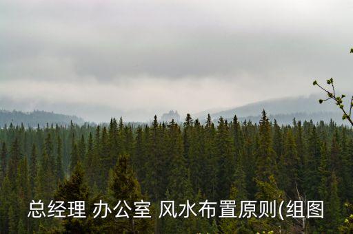 總經(jīng)理 辦公室 風(fēng)水布置原則(組圖