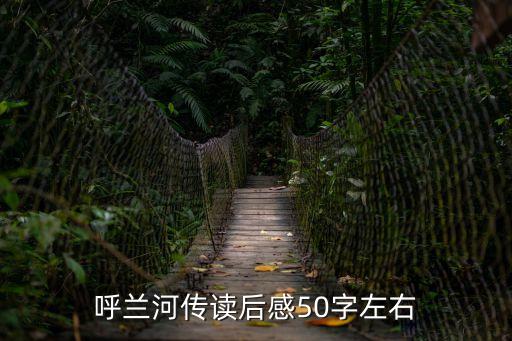 呼蘭河傳讀后感50字左右