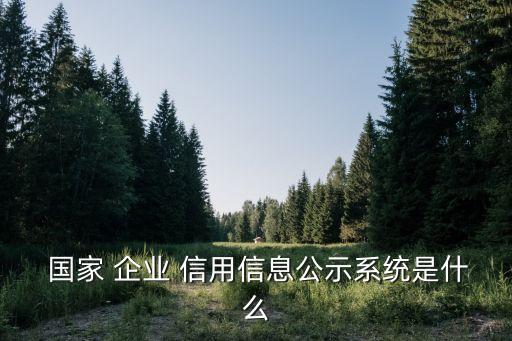  國家 企業 信用信息公示系統是什么