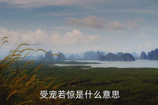 受寵若驚什么意思,被寵辱不驚的涵義