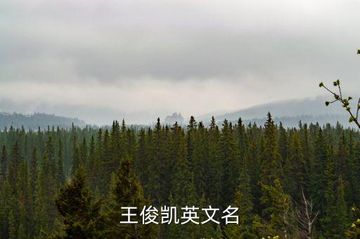 王俊凱的英文名，王俊凱英文名