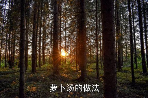 蘿卜湯,先熱后排骨血順序排好一起來看看!