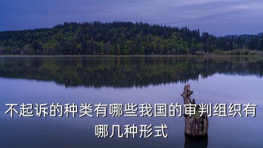 不起訴的種類有哪些我國的審判組織有哪幾種形式