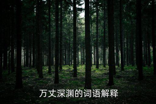  萬丈深淵的詞語解釋
