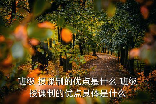  班級 授課制的優點是什么 班級 授課制的優點具體是什么
