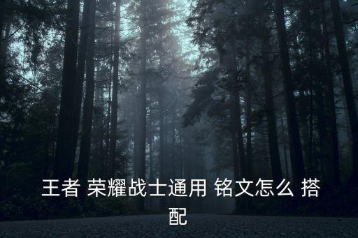  王者 榮耀戰士通用 銘文怎么 搭配