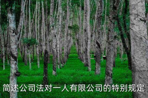 一人有限公司章程，我國法律對一人公司是怎樣規(guī)定的