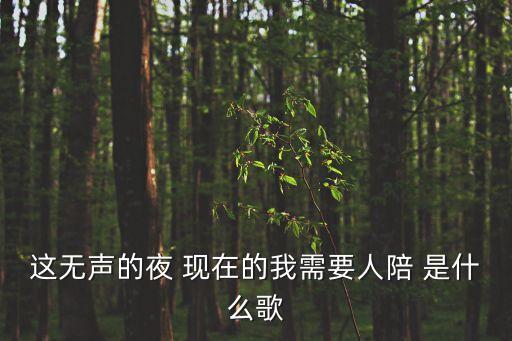 這無聲的夜 現在的我需要人陪 是什么歌