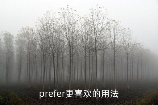 prefer更喜歡的用法
