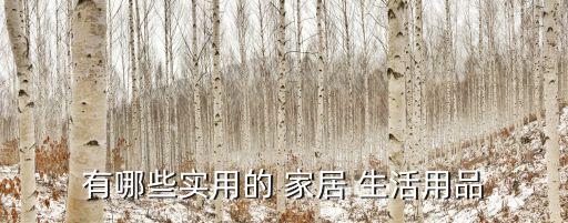 有哪些實用的 家居 生活用品
