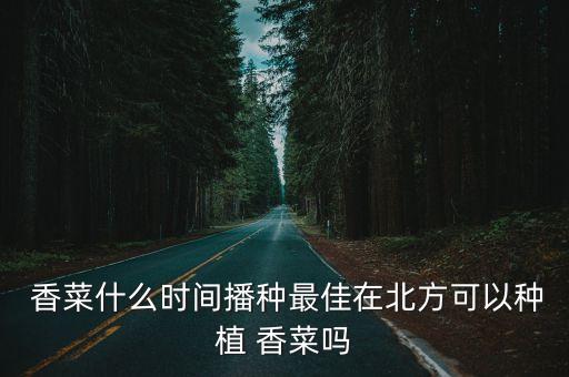  香菜什么時間播種最佳在北方可以種植 香菜嗎