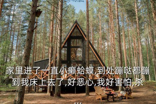 家里進了一直小癩蛤蟆,到處蹦噠都蹦到我床上去了,好惡心,我好害怕,殺...