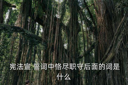 憲法宣誓誓詞,宣誓:忠于中華人民共和國(guó)憲法維護(hù)權(quán)威憲法