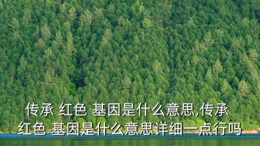 傳承 紅色 基因是什么意思,傳承 紅色 基因是什么意思詳細一點行嗎