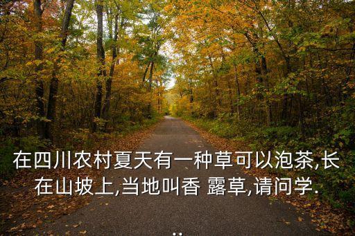 在四川農村夏天有一種草可以泡茶,長在山坡上,當?shù)亟邢?露草,請問學...