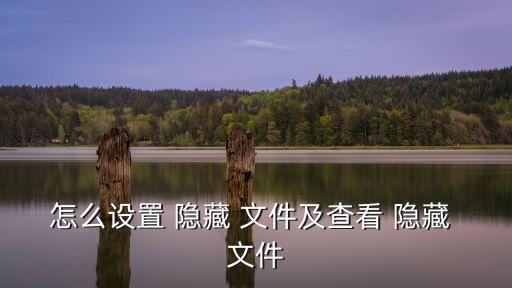 怎么設(shè)置 隱藏 文件及查看 隱藏 文件
