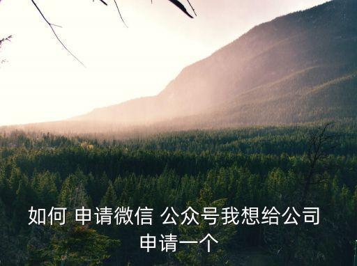 如何 申請(qǐng)微信 公眾號(hào)我想給公司 申請(qǐng)一個(gè)