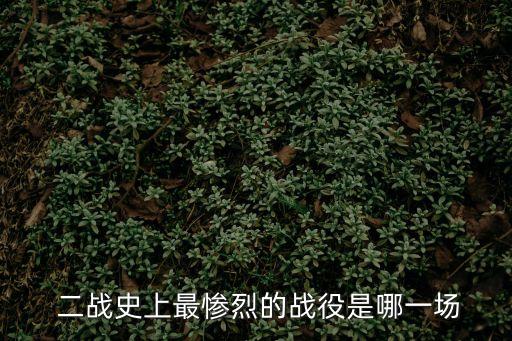  二戰史上最慘烈的戰役是哪一場