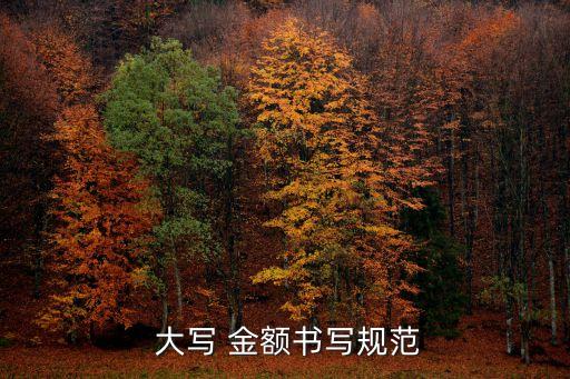 大寫金額,中文大寫金額數字不能使用簡體字