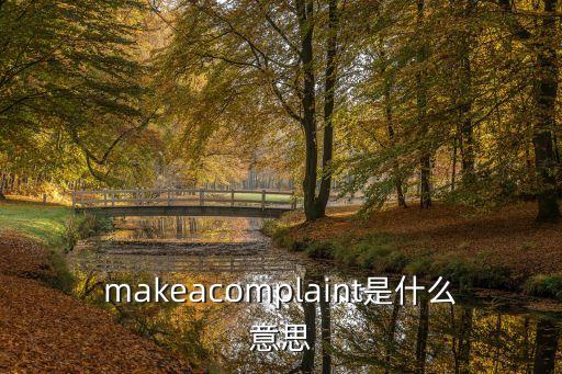 makeacomplaint是什么意思