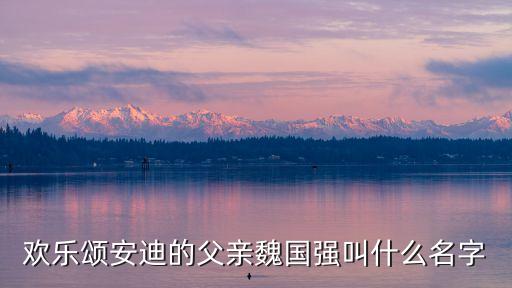 歡樂頌安迪的父親魏國強叫什么名字