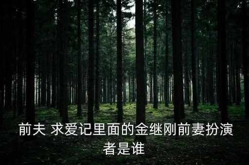 前夫求愛記,二手男人和單身女性追逐愛情的故事